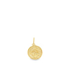 Load image into Gallery viewer, French Coin Pendant