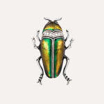 Load image into Gallery viewer, Beetle Insects Brooch for Women | Unique Animal Pin | Soria Jewelry
